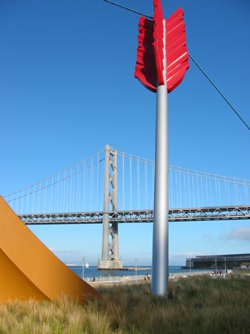 'Cupid's Span' - photo by David Fox